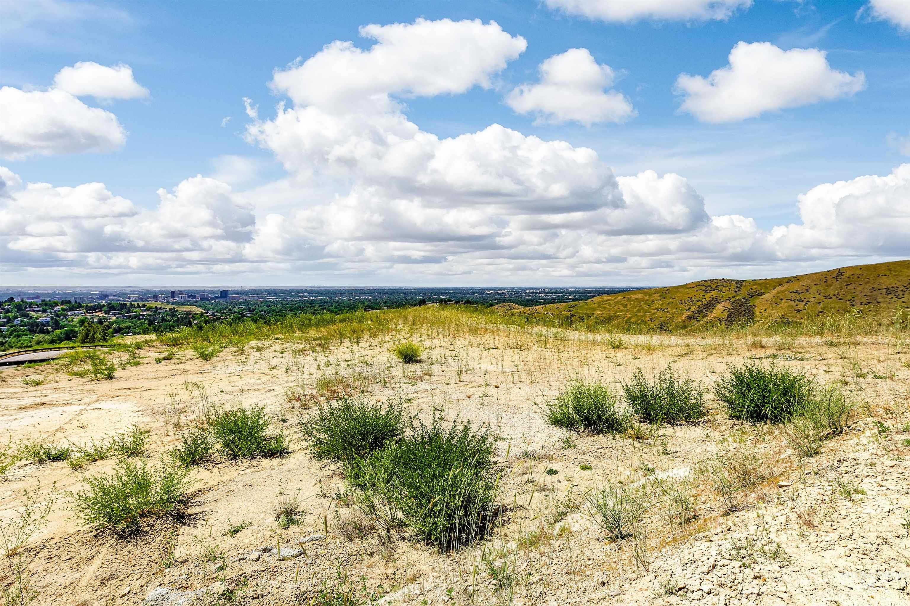 3685 North Capitol View Lane Boise, ID 83702 - Photo 34 of 36 View of nature