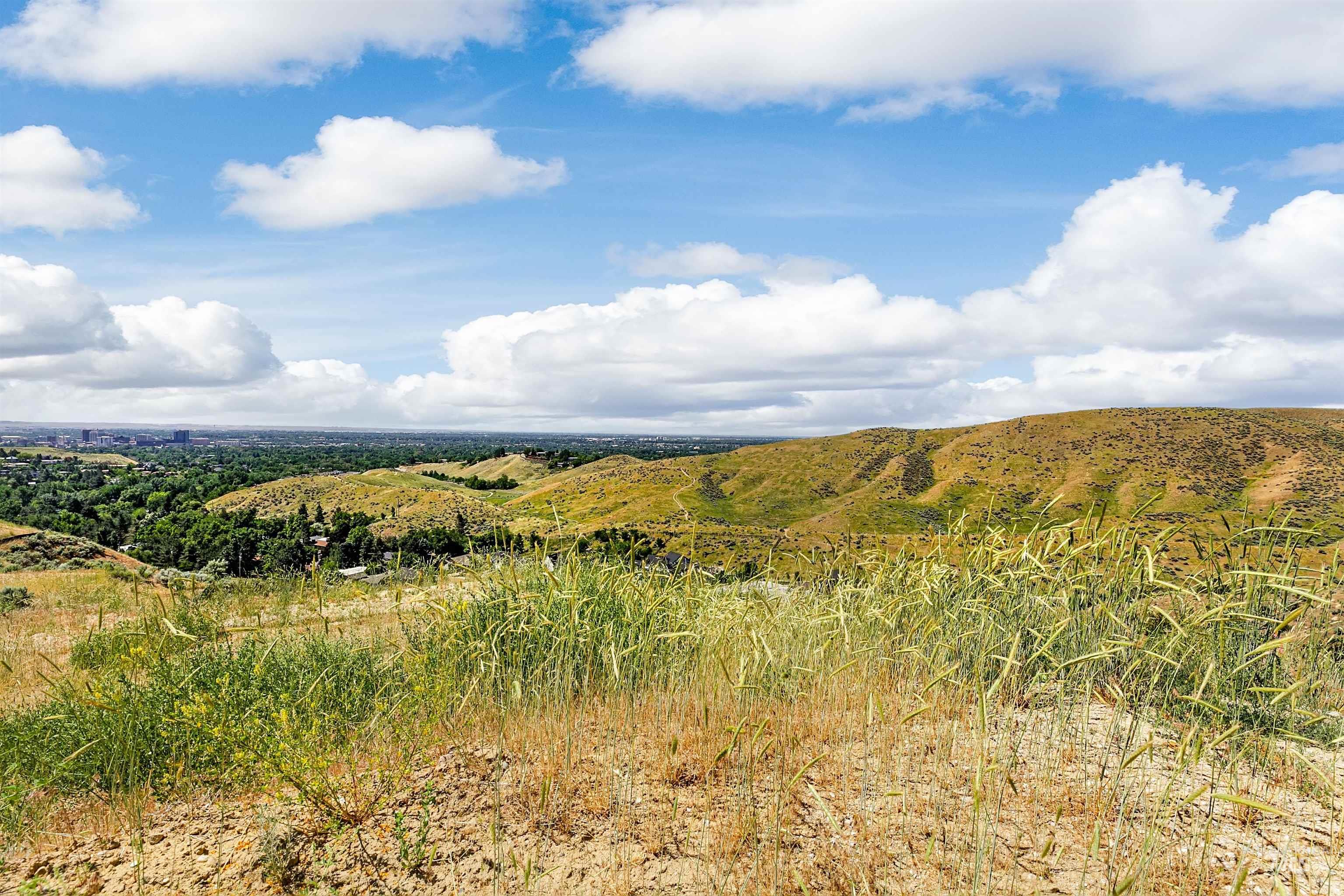 3685 North Capitol View Lane Boise, ID 83702 - Photo 10 of 36 View of local wilderness