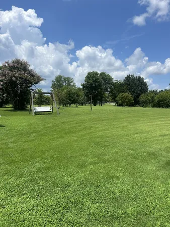 a view of grassy field with trees