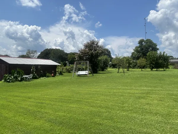 a view of a park with large trees