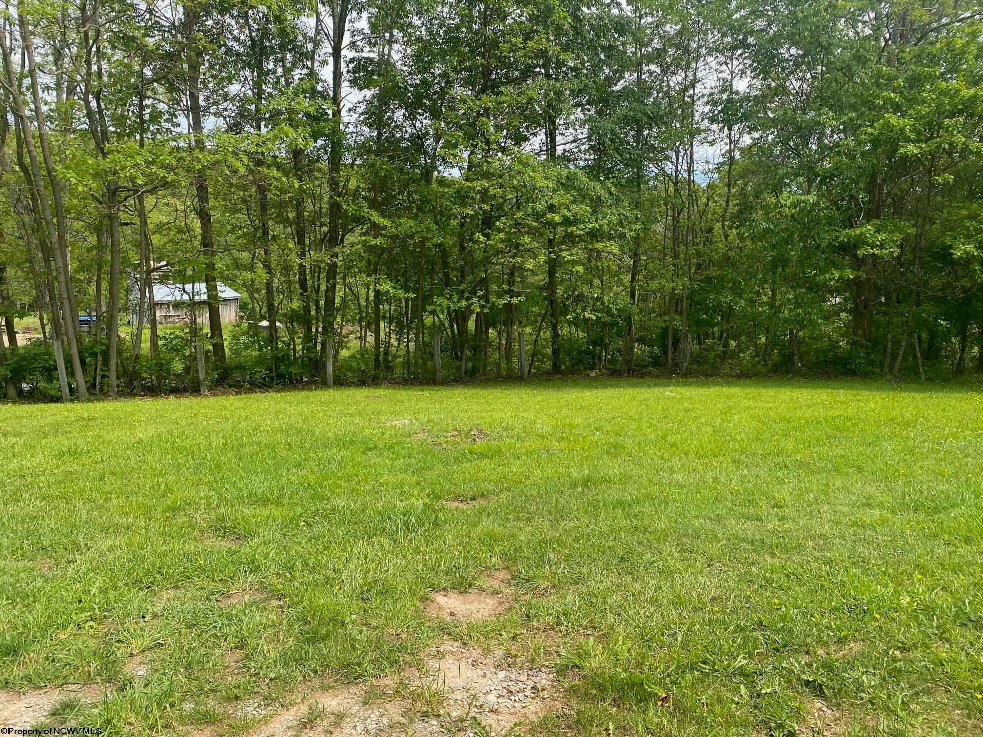 12677 Back Mountain Road Durbin, WV 26264 - Photo 13 of 27 Gallery Image 13