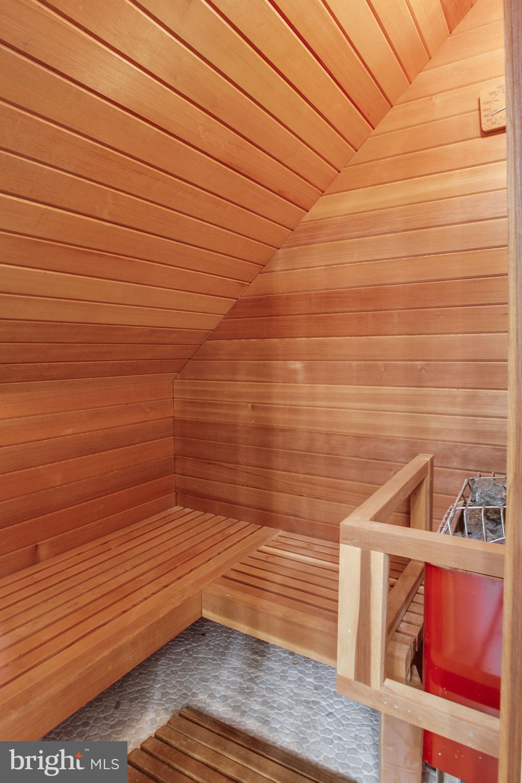 705 Clear Spring Road Great Falls, VA 22066 - Photo 40 of 62 Dry sauna