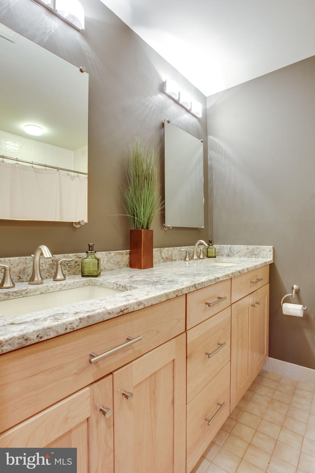 705 Clear Spring Road Great Falls, VA 22066 - Photo 45 of 62 Lower Level Bathroom w/ double vanity