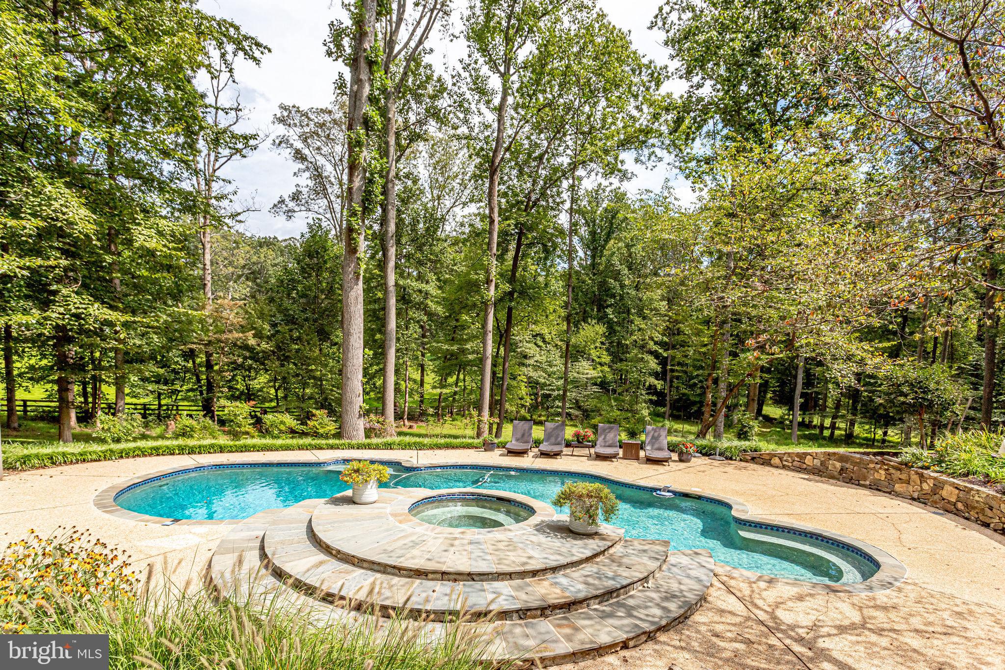 705 Clear Spring Road Great Falls, VA 22066 - Photo 48 of 62 Sparkling pool and spa