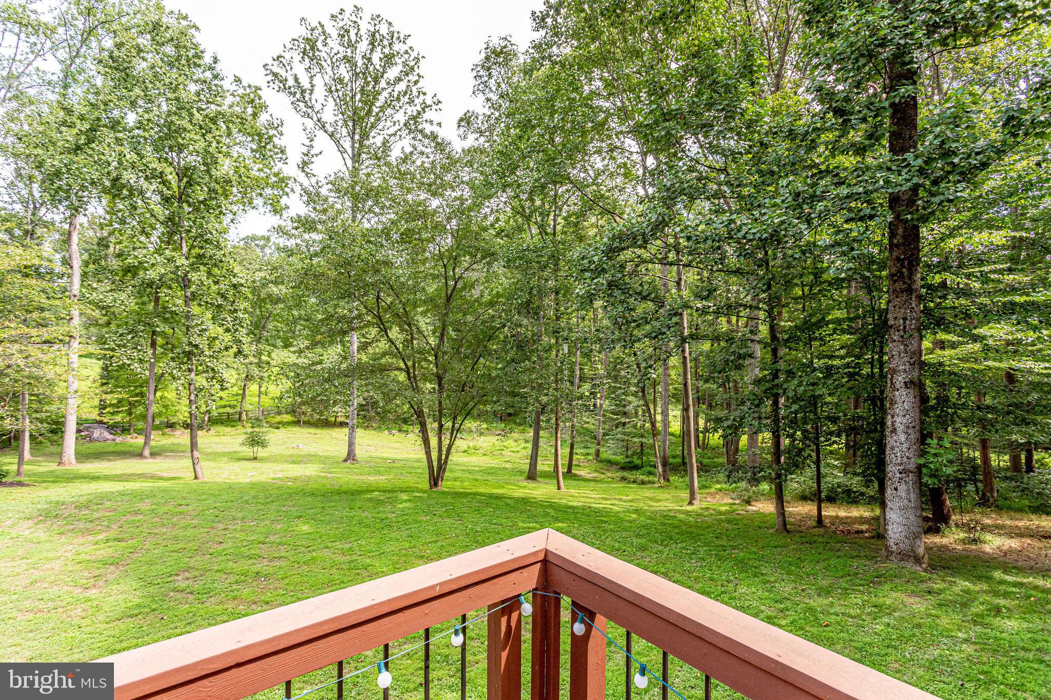 705 Clear Spring Road Great Falls, VA 22066 - Photo 60 of 62 Gorgeous Views in every direction