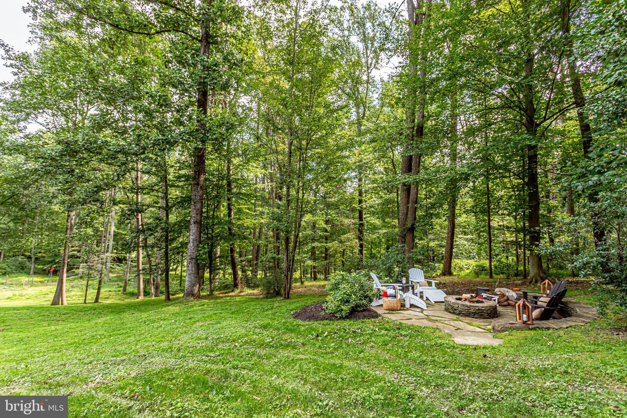 705 Clear Spring Road Great Falls, VA 22066 - Photo 62 of 62 Bounded by nature