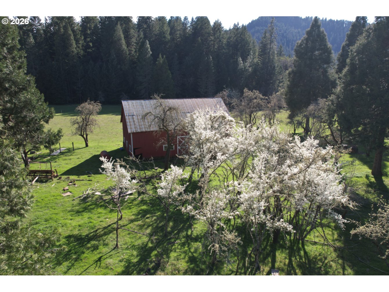 0 Edgewood Road Wolf Creek, OR 97497 - Photo 7 of 8