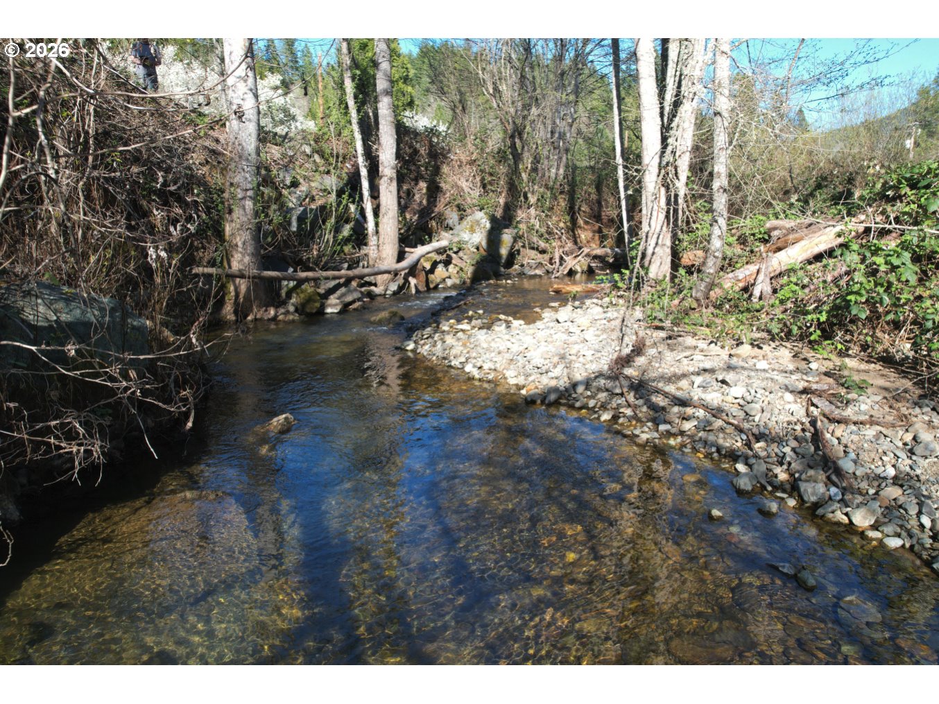 0 Edgewood Road Wolf Creek, OR 97497 - Photo 8 of 8