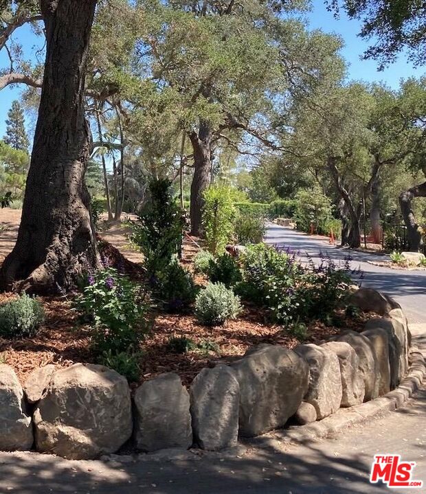 800 Rockbridge Road Santa Barbara, CA 93108 - Photo 14 of 20 a view of a street with a tree