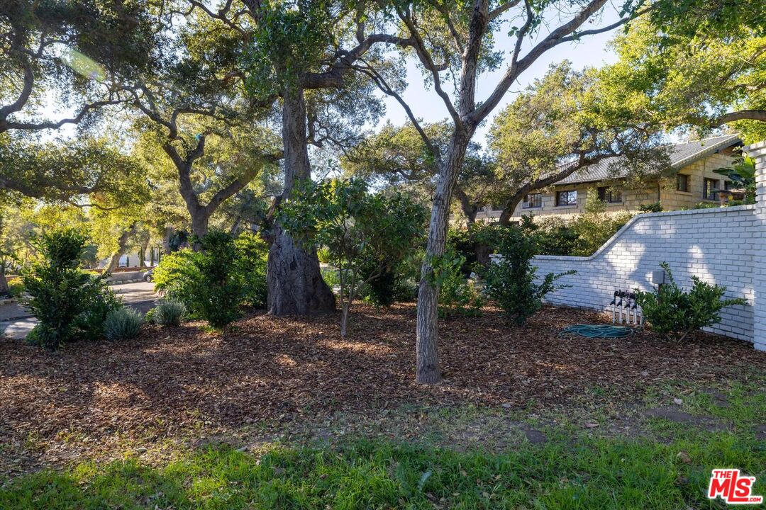 800 Rockbridge Road Santa Barbara, CA 93108 - Photo 17 of 20 a view of a tree in the middle of a yard