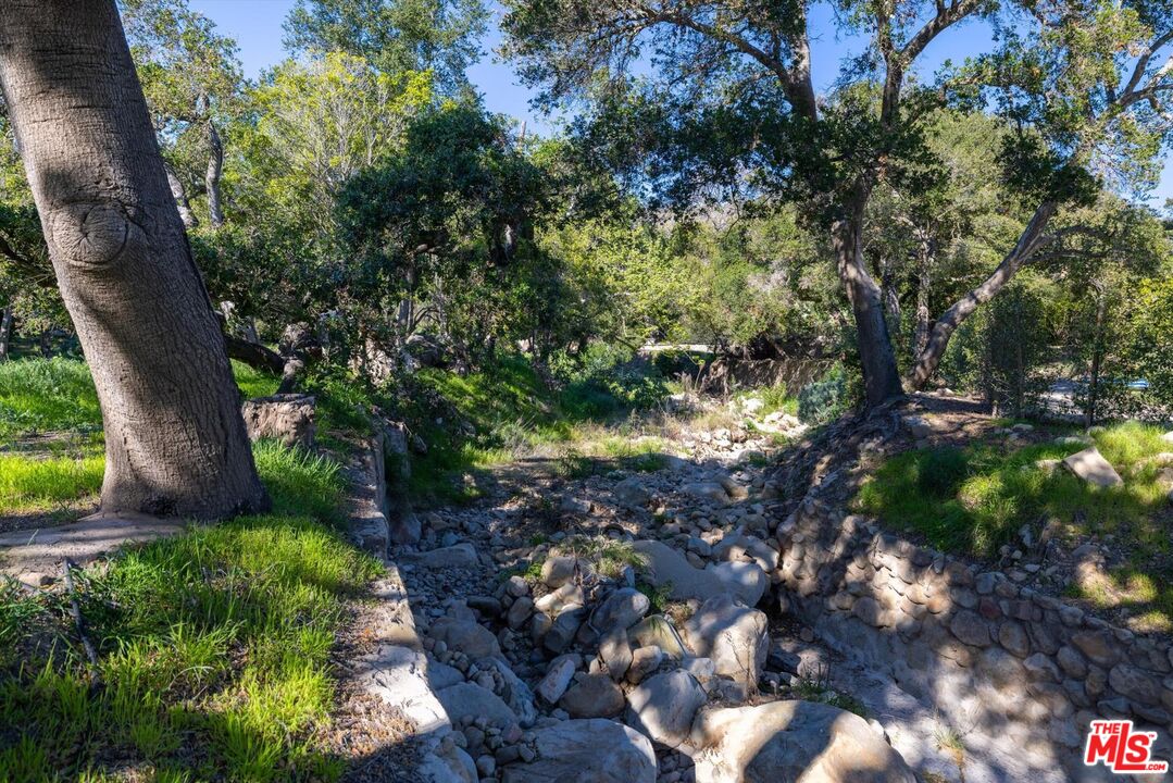 800 Rockbridge Road Santa Barbara, CA 93108 - Photo 18 of 20 a view of a tree in a garden