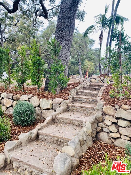 800 Rockbridge Road Santa Barbara, CA 93108 - Photo 6 of 20 a view of a yard with plants and large trees