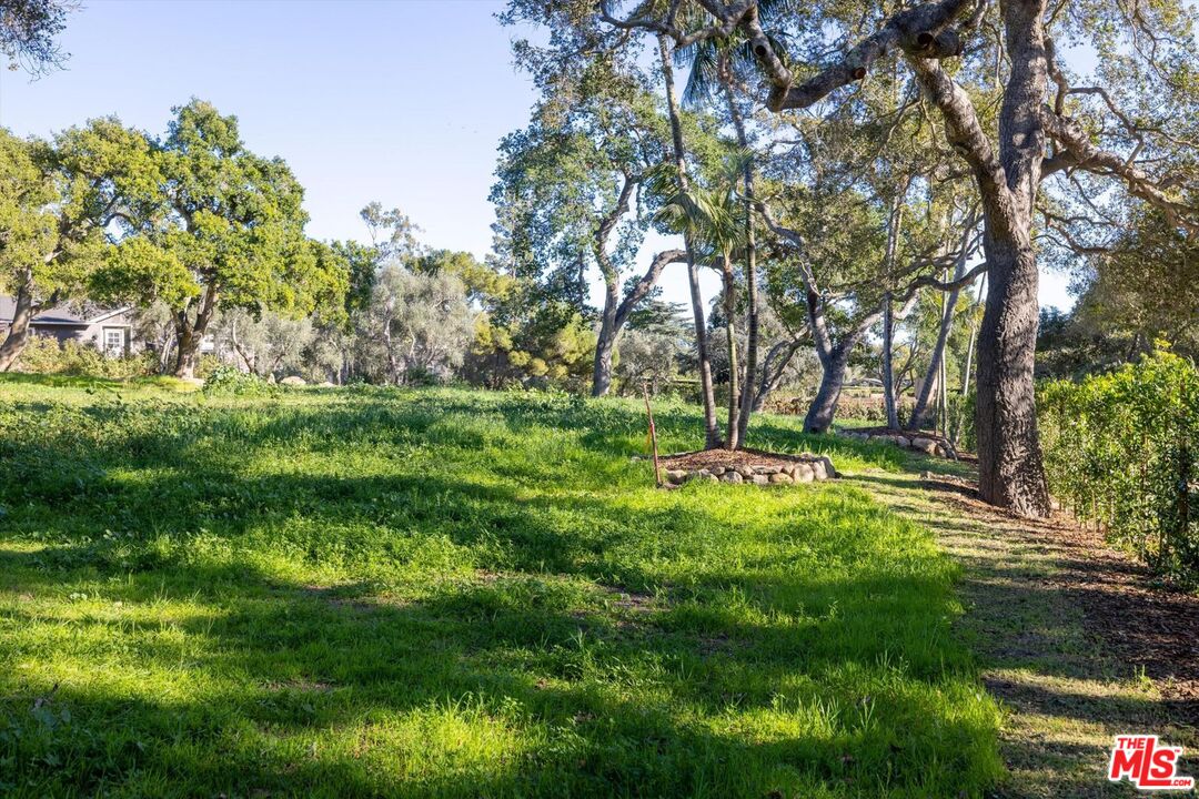 800 Rockbridge Road Santa Barbara, CA 93108 - Photo 8 of 20 a view of a backyard with large trees
