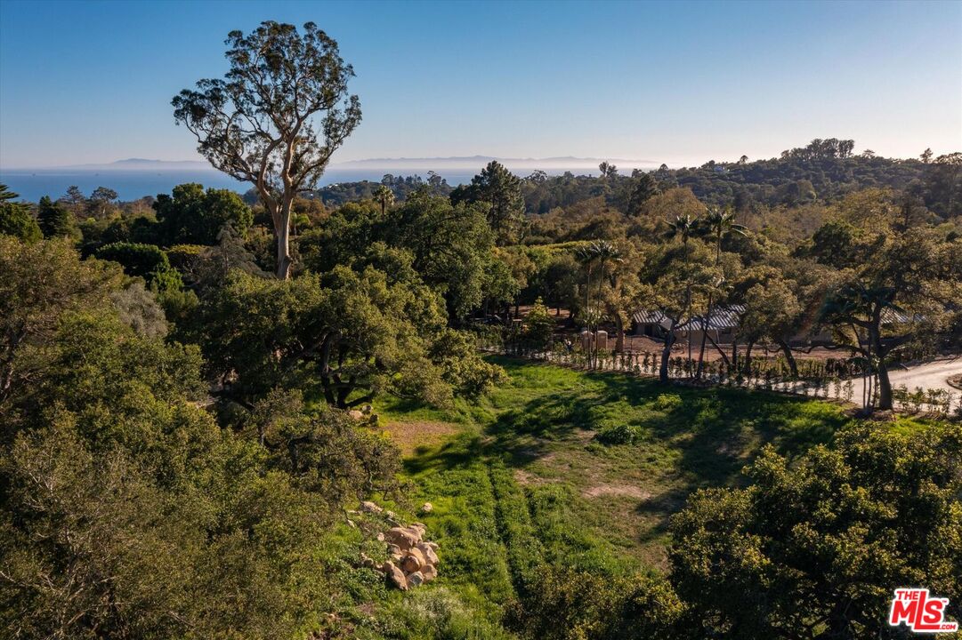 800 Rockbridge Road Santa Barbara, CA 93108 - Photo 10 of 20 a picture of trees and outside a house
