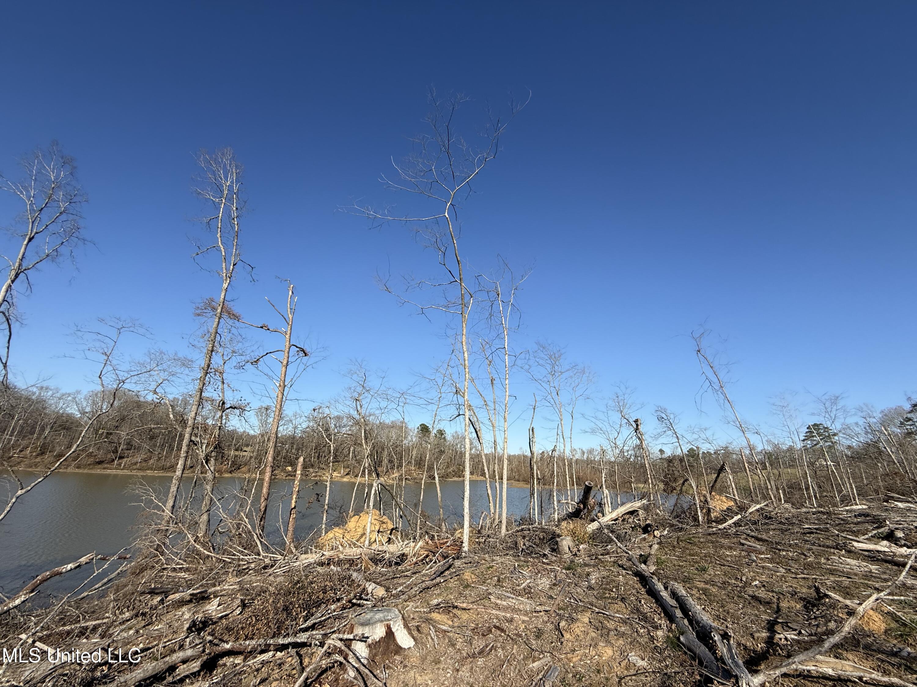 953 County Road 376 Carrollton, MS 38917 - Photo 11 of 67 IMG_9110