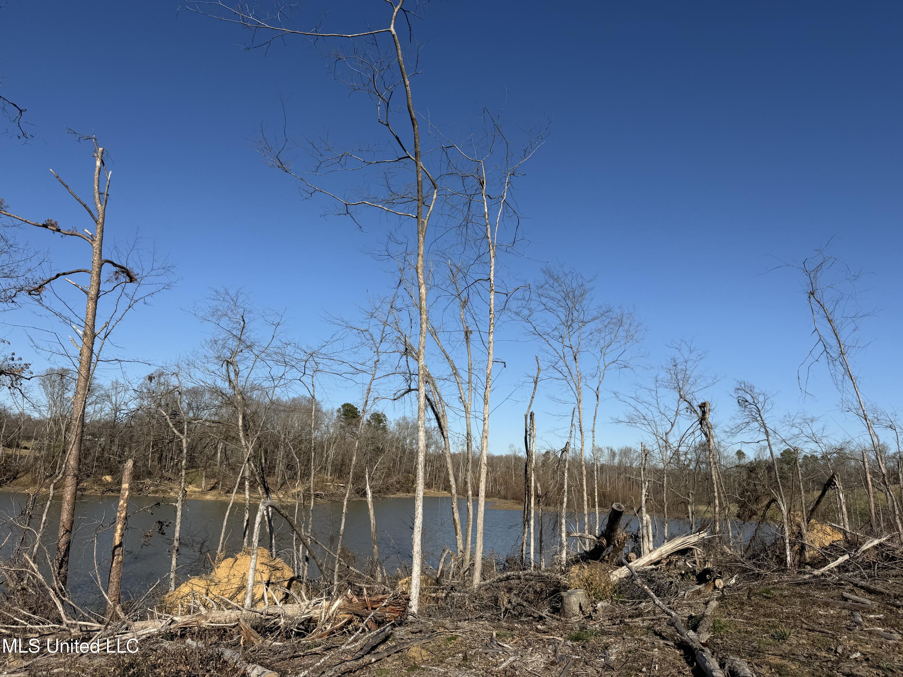 953 County Road 376 Carrollton, MS 38917 - Photo 12 of 67 IMG_9111