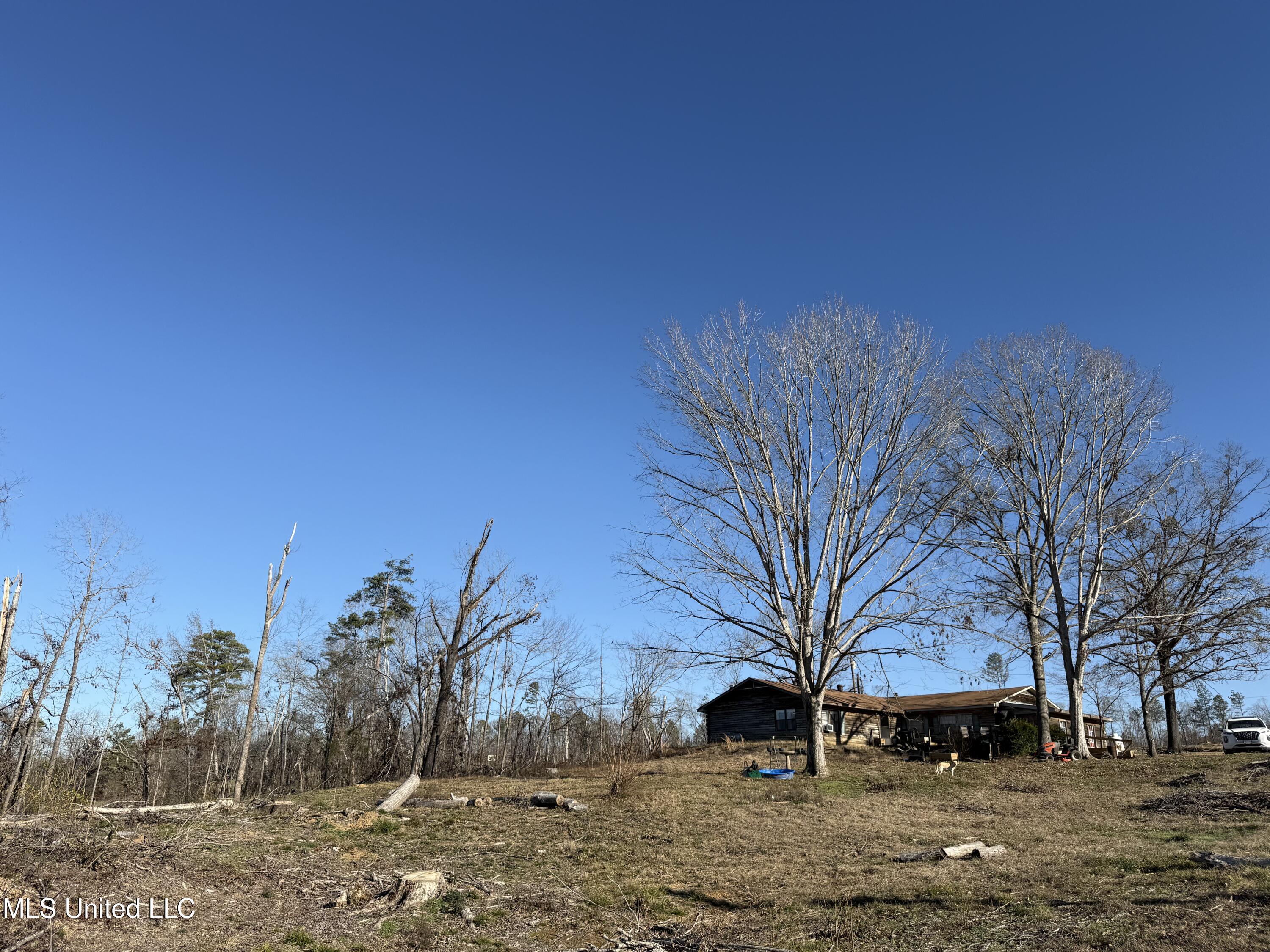 953 County Road 376 Carrollton, MS 38917 - Photo 14 of 67 IMG_9117