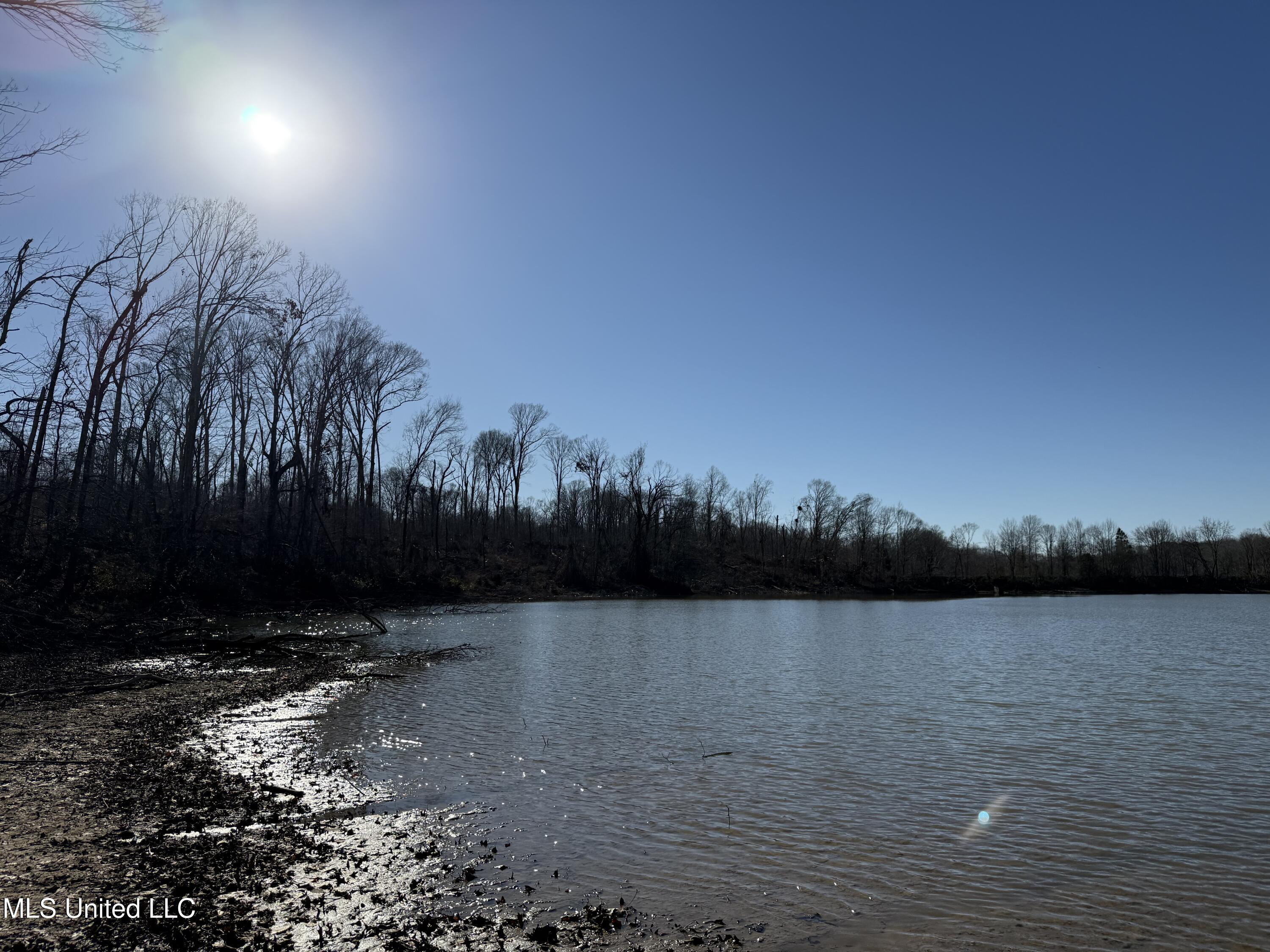 953 County Road 376 Carrollton, MS 38917 - Photo 2 of 67 IMG_9089