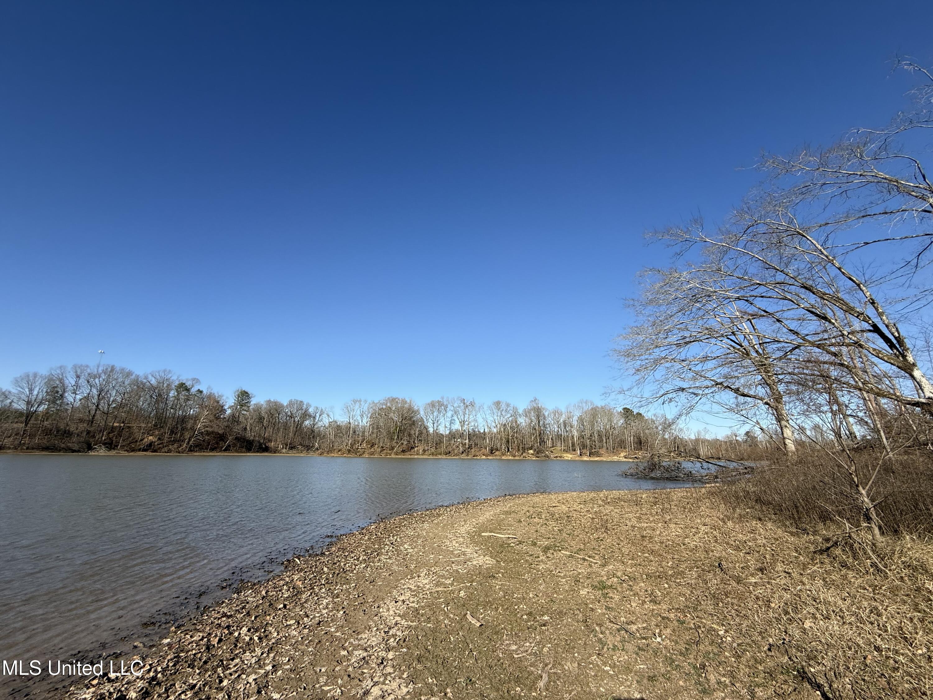 953 County Road 376 Carrollton, MS 38917 - Photo 4 of 67 IMG_9092