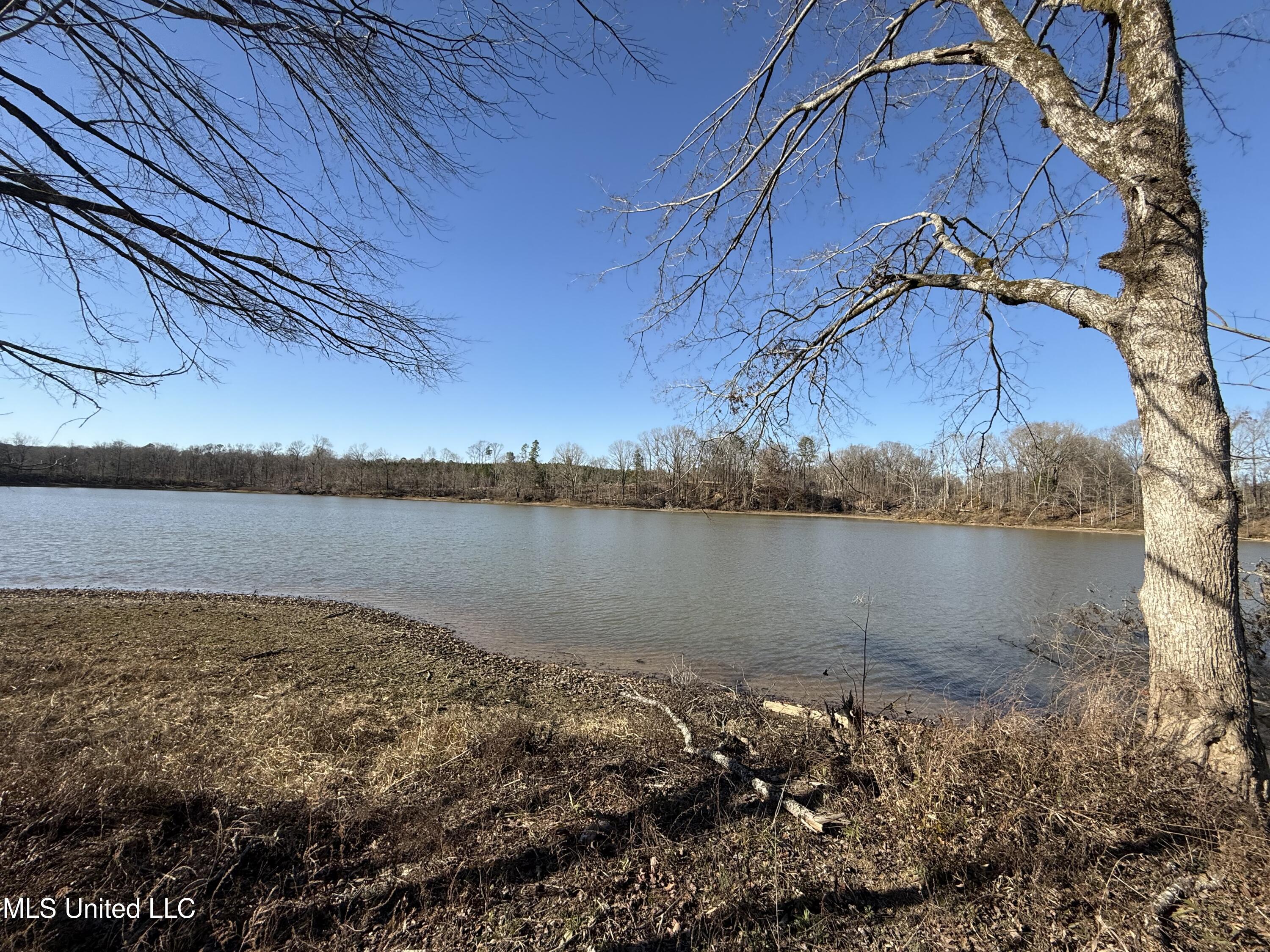 953 County Road 376 Carrollton, MS 38917 - Photo 5 of 67 IMG_9097