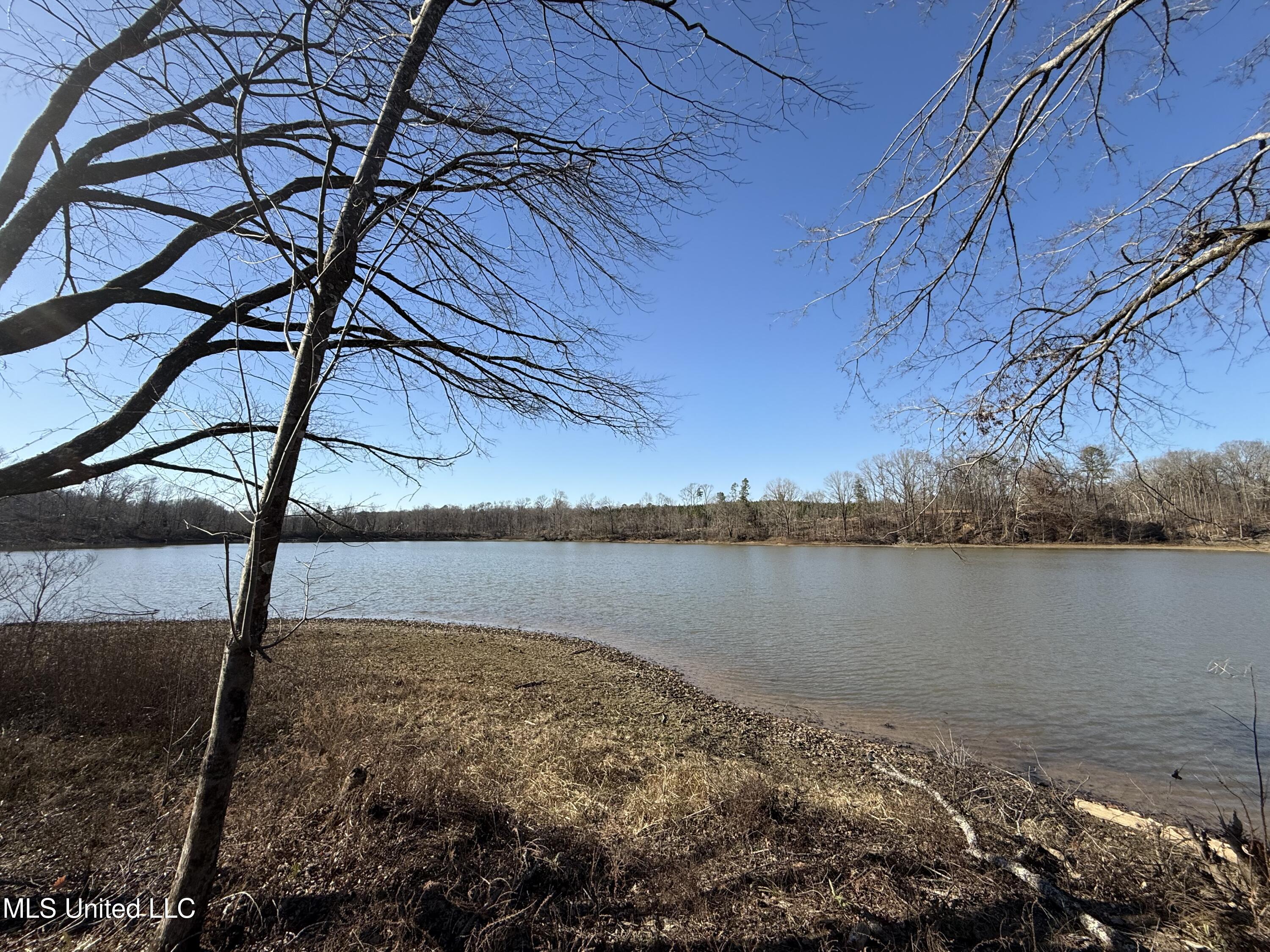 953 County Road 376 Carrollton, MS 38917 - Photo 6 of 67 IMG_9099