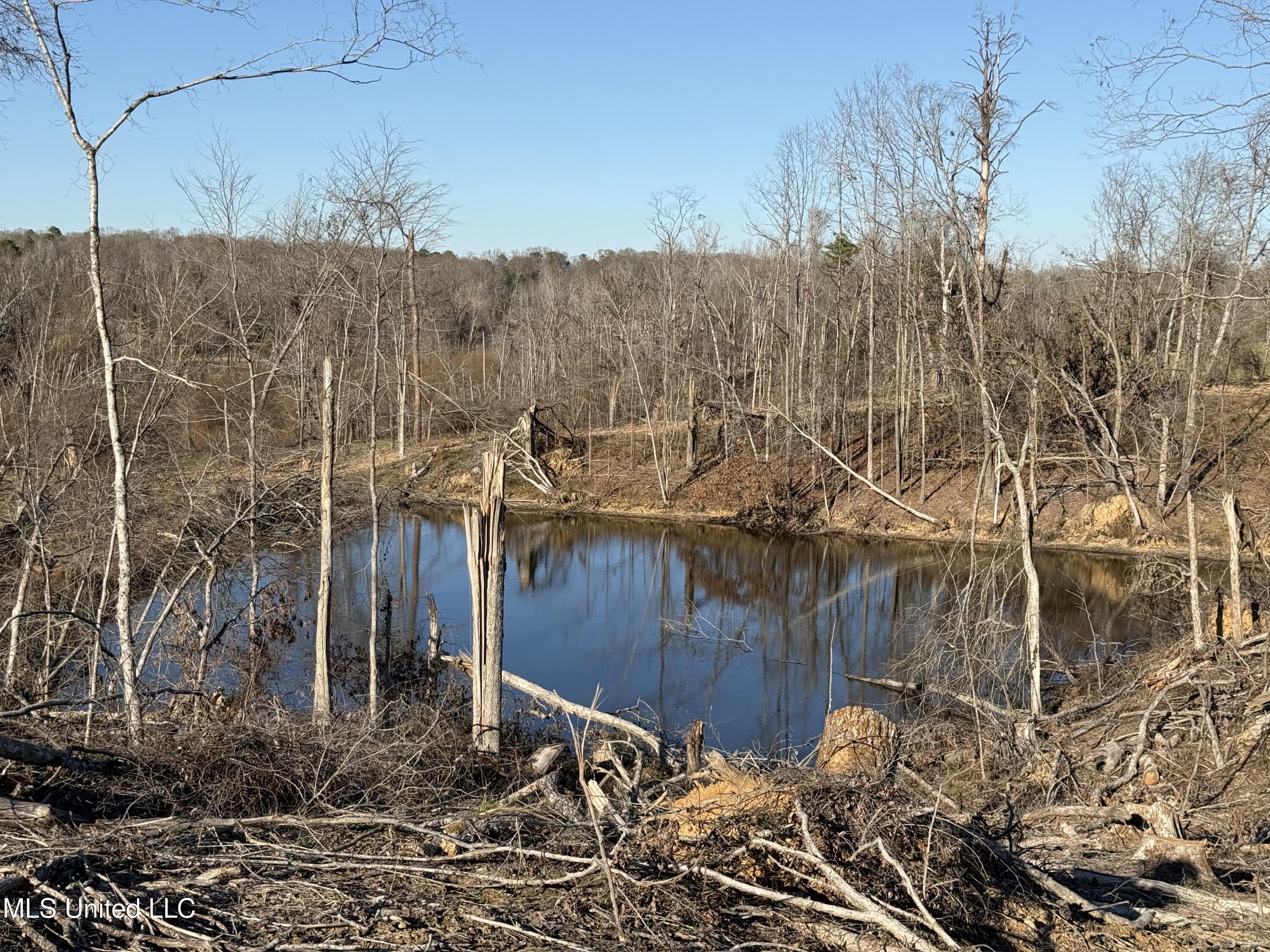 953 County Road 376 Carrollton, MS 38917 - Photo 63 of 67 IMG_9179