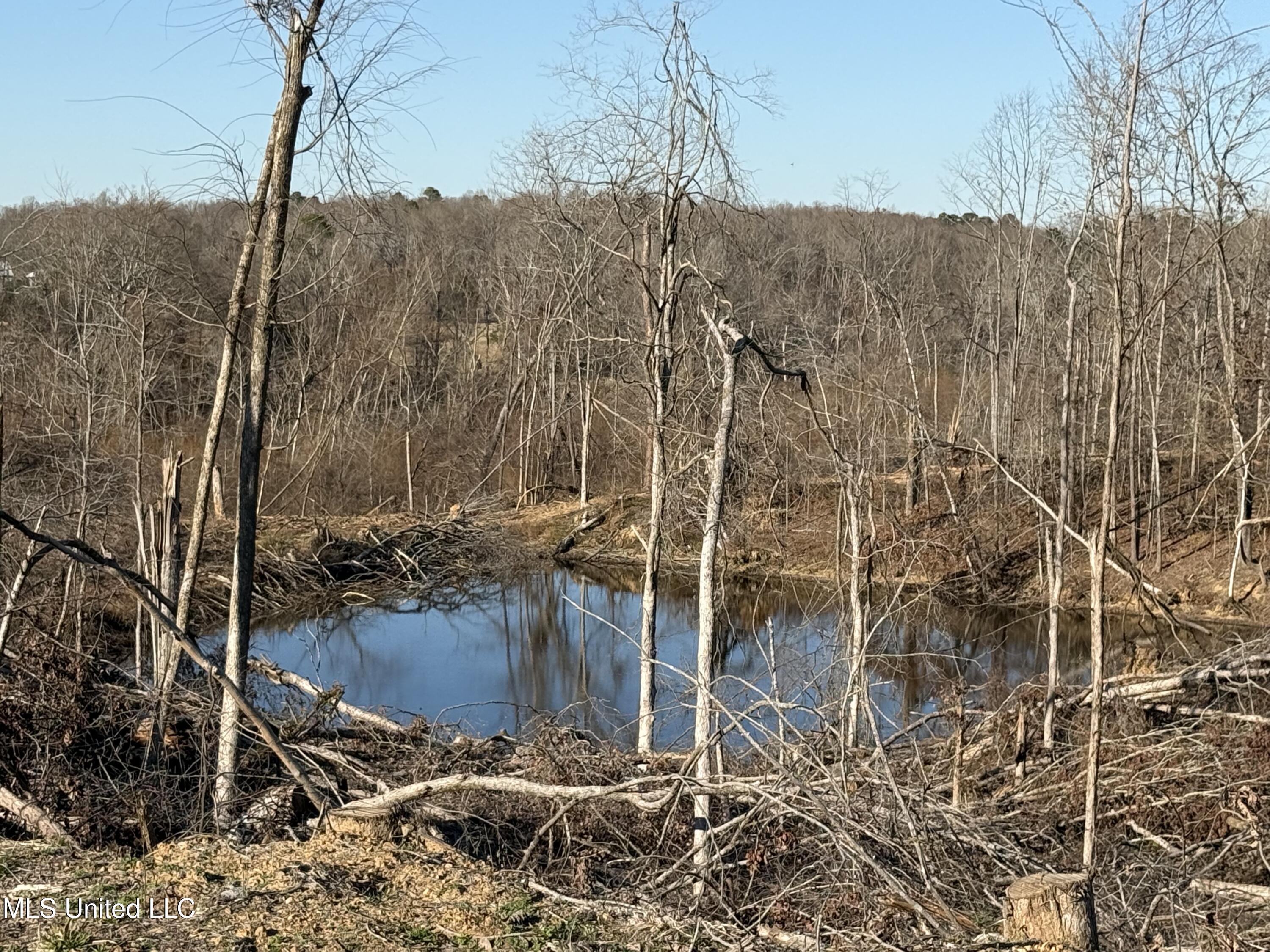 953 County Road 376 Carrollton, MS 38917 - Photo 65 of 67 IMG_9181