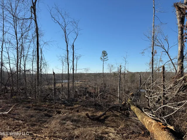 $200,000 | 953 County Road 376, Carrollton, MS 38917