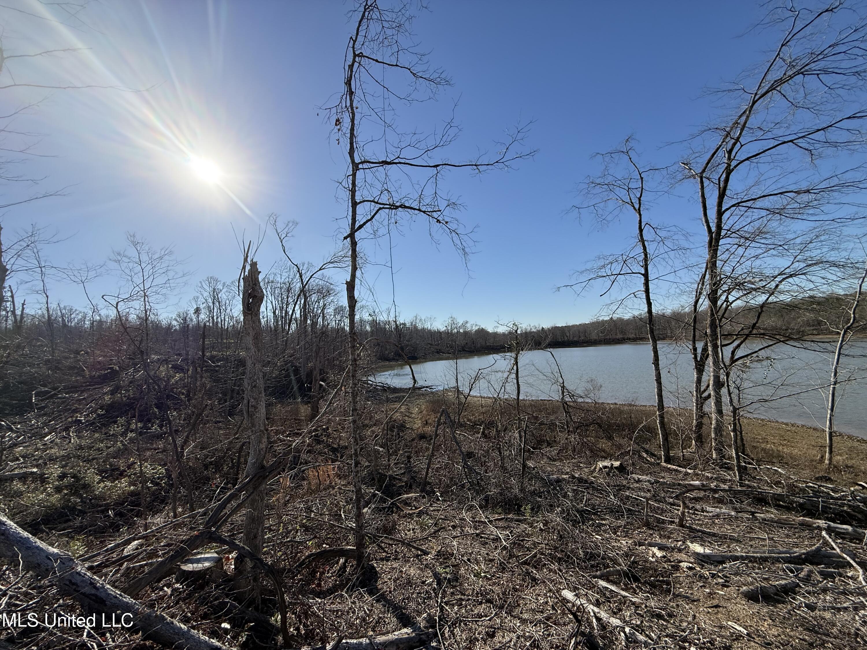 953 County Road 376 Carrollton, MS 38917 - Photo 7 of 67 IMG_9102