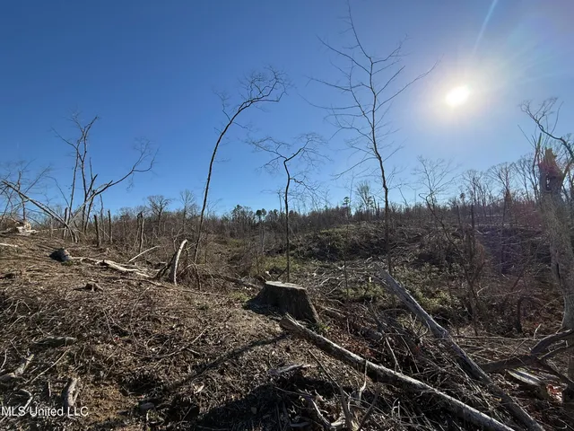 $200,000 | 953 County Road 376, Carrollton, MS 38917