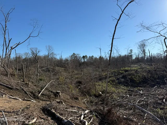 $200,000 | 953 County Road 376, Carrollton, MS 38917