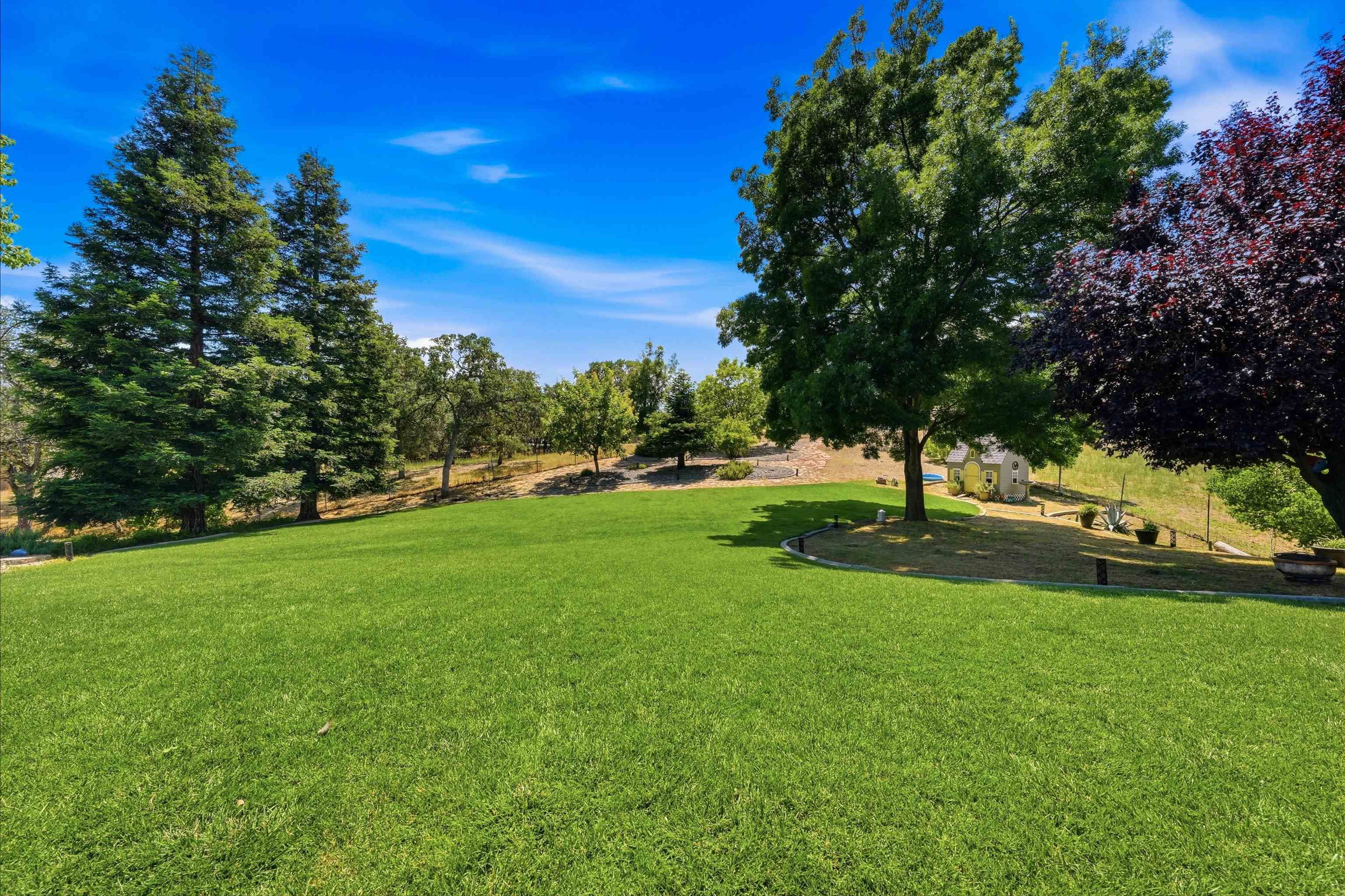 21435 Wilcox Road Red Bluff, CA 96080 - Photo 40 of 51