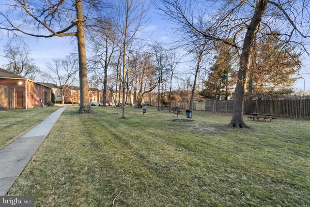 a view of a yard with trees