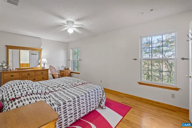 a view of a large tree