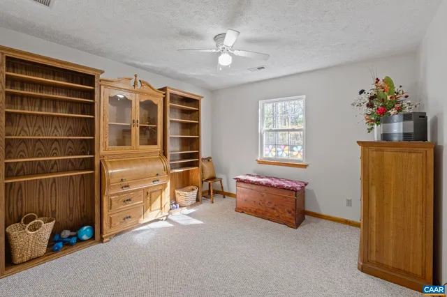 a view of a yard with trees