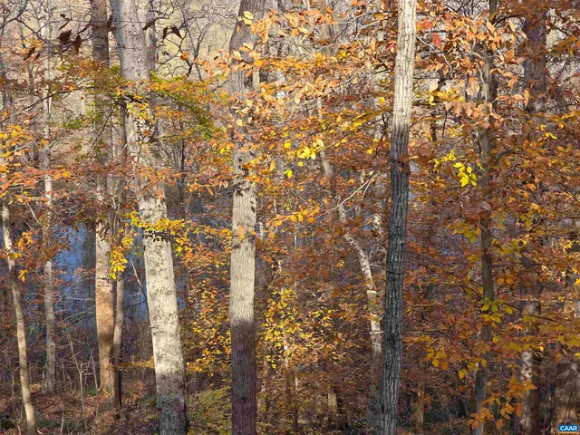 $399,900 | 60 Chippewa Lane, Palmyra, VA 22963