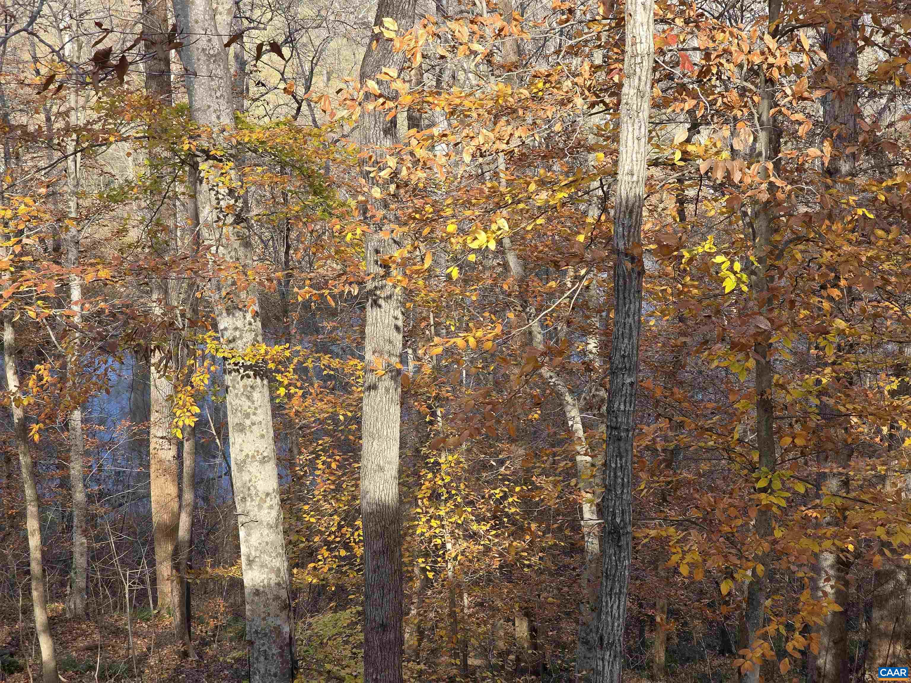 60 Chippewa Lane Palmyra, VA 22963 - Photo 59 of 69 a view of under construction area