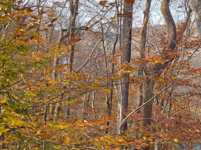 $399,900 | 60 Chippewa Lane, Palmyra, VA 22963