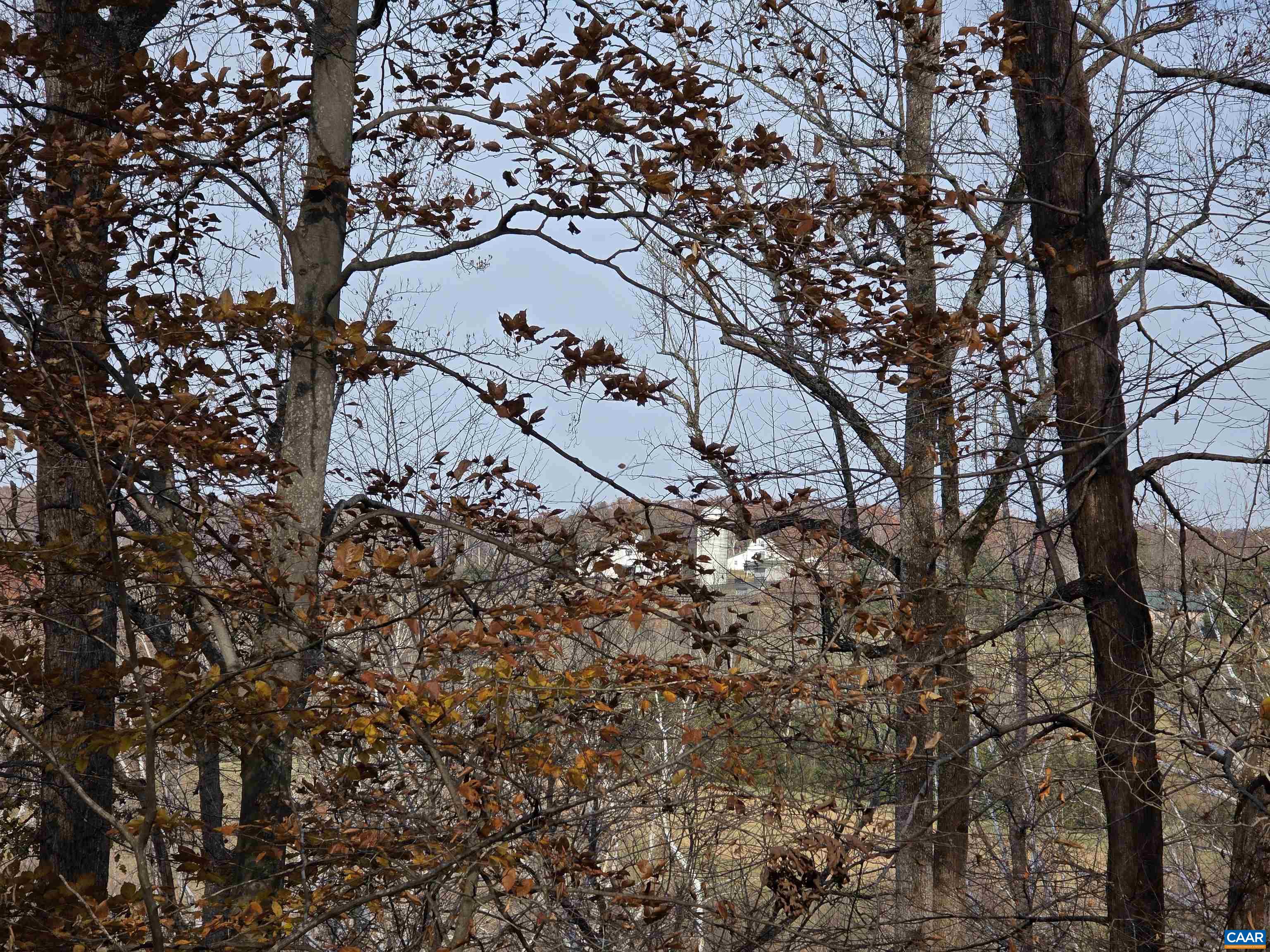 60 Chippewa Lane Palmyra, VA 22963 - Photo 62 of 69