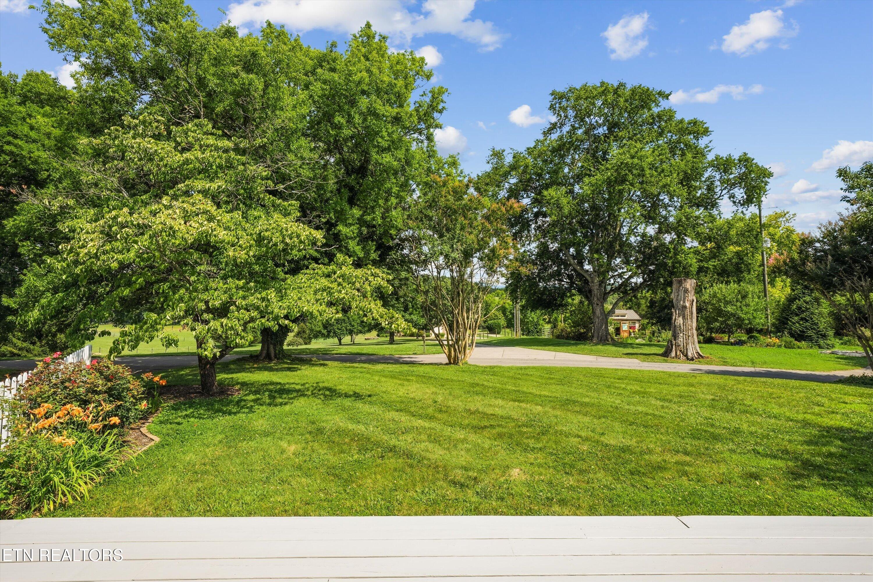930 Gregg Road Friendsville, TN 37737 - Photo 48 of 48 Yard