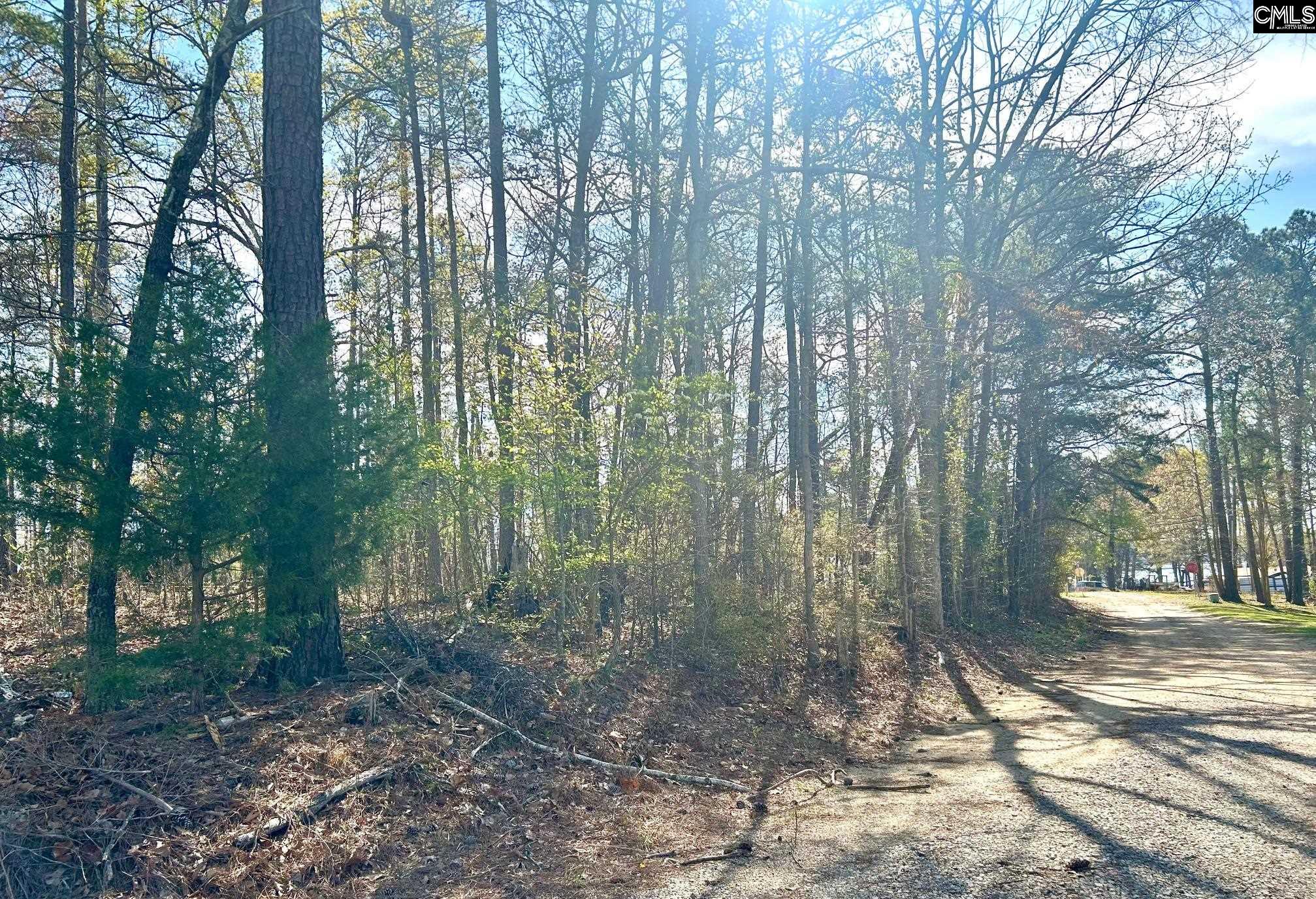Holley Ferry Road Leesville, SC 29070 - Photo 2 of 8
