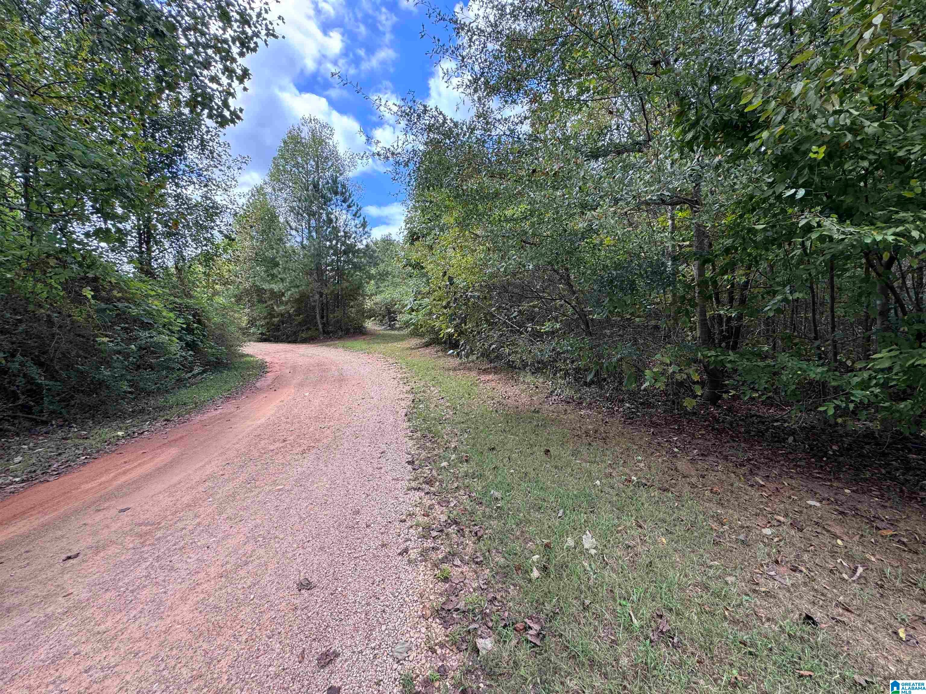 0 Robin Lane Delta, AL 36258 - Photo 18 of 20 Gallery Image 18