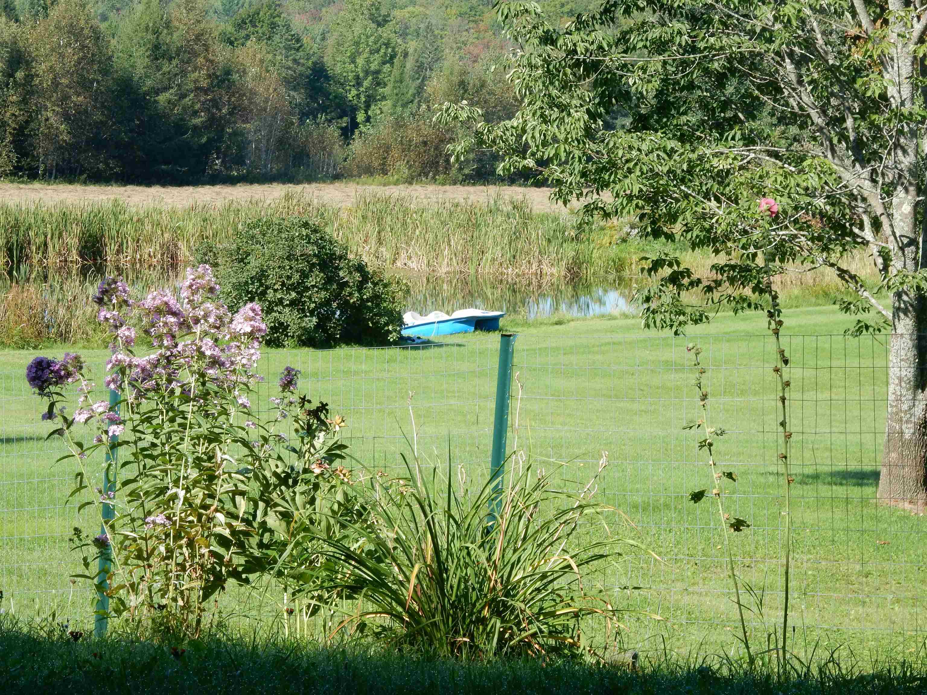 1004 Bushey Hill Road Derby, VT 05855 - Photo 7 of 25