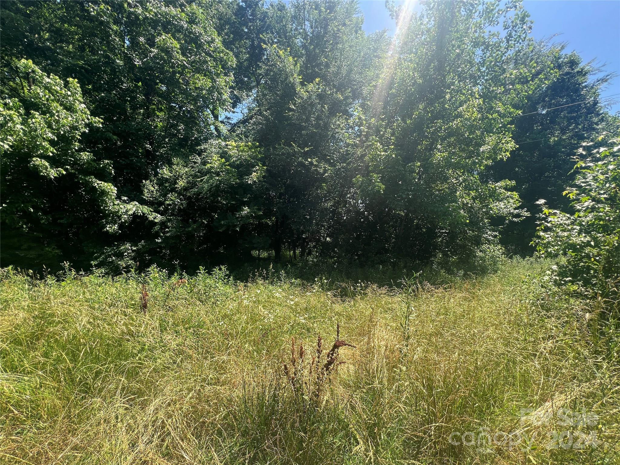 0 White Oak Lane Matthews, NC 28104 - Photo 2 of 2