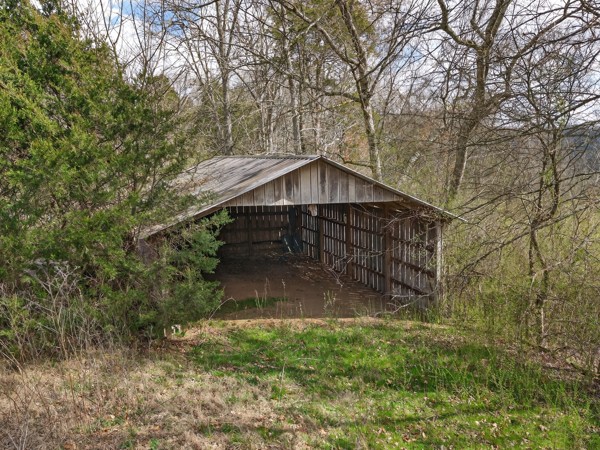 229 Coldwater Creek Road Taft, TN 38488 - Photo 35 of 43