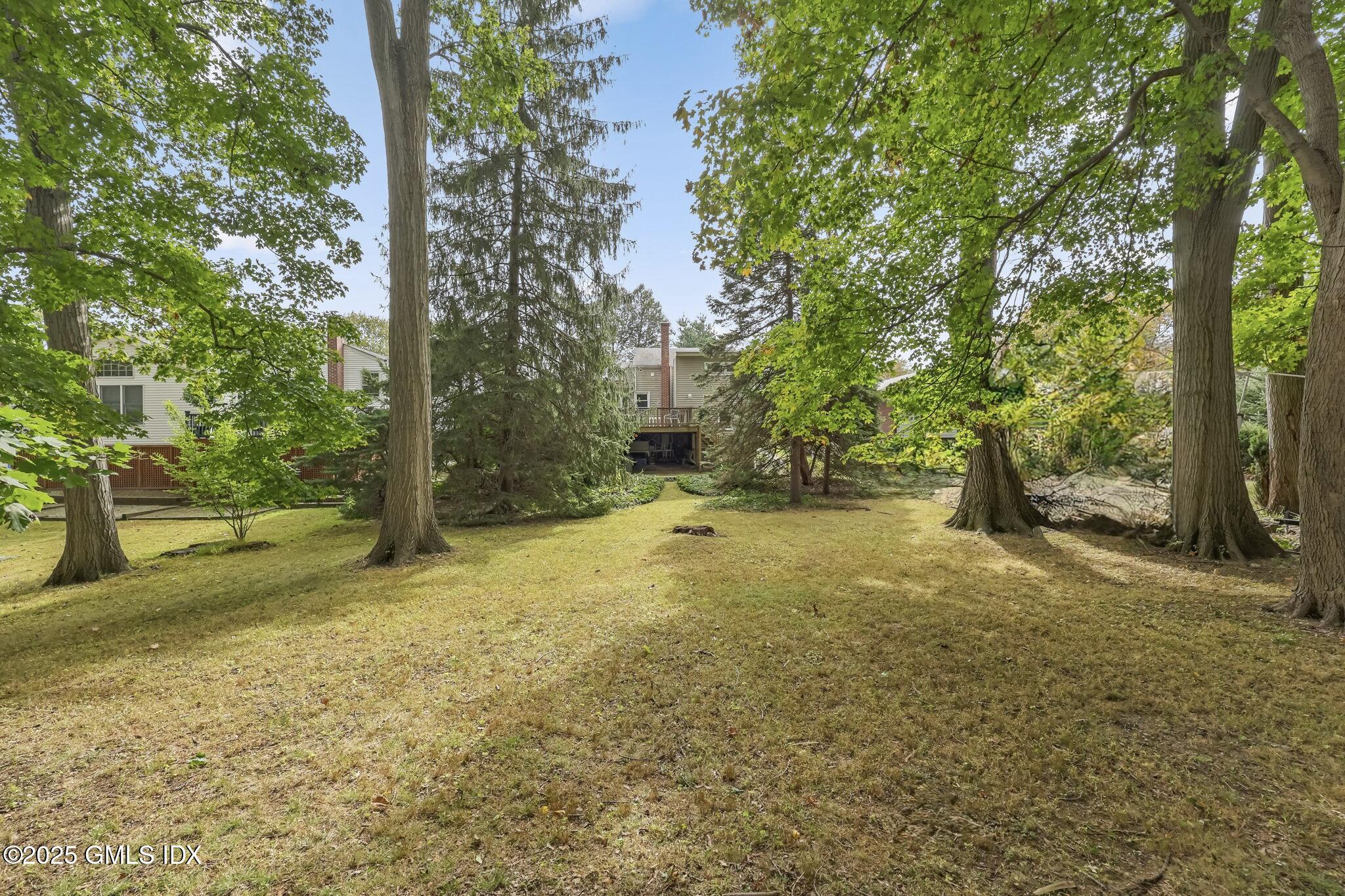 23 Silver Beech Road Riverside, CT 06878 - Photo 16 of 22 Lawn