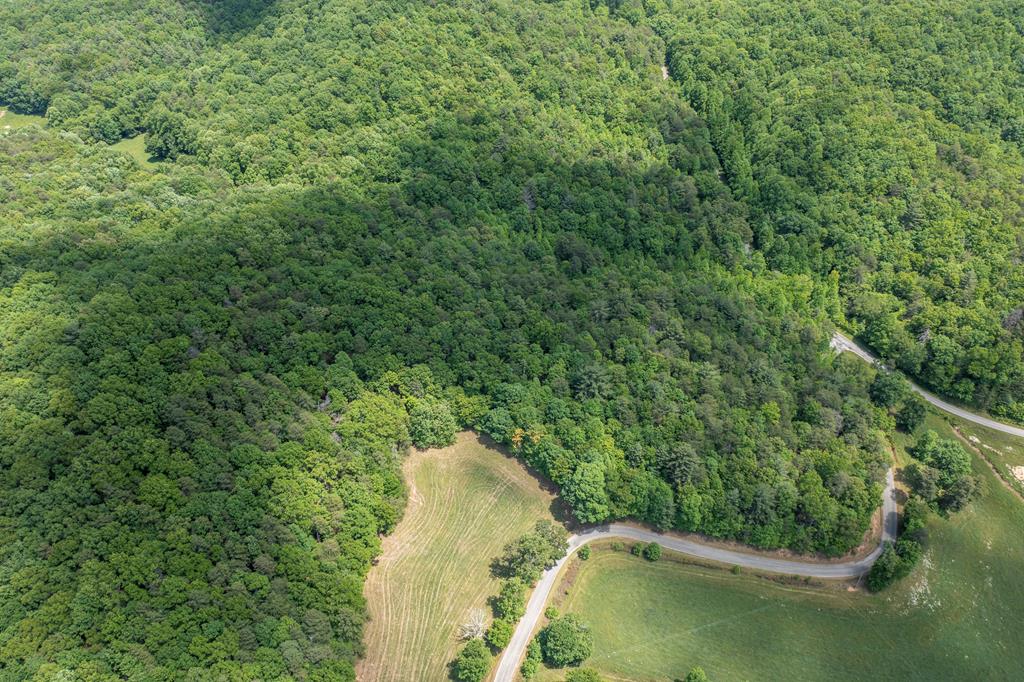 4.2-acre Donley Road Murphy, NC 28906 - Photo 14 of 32