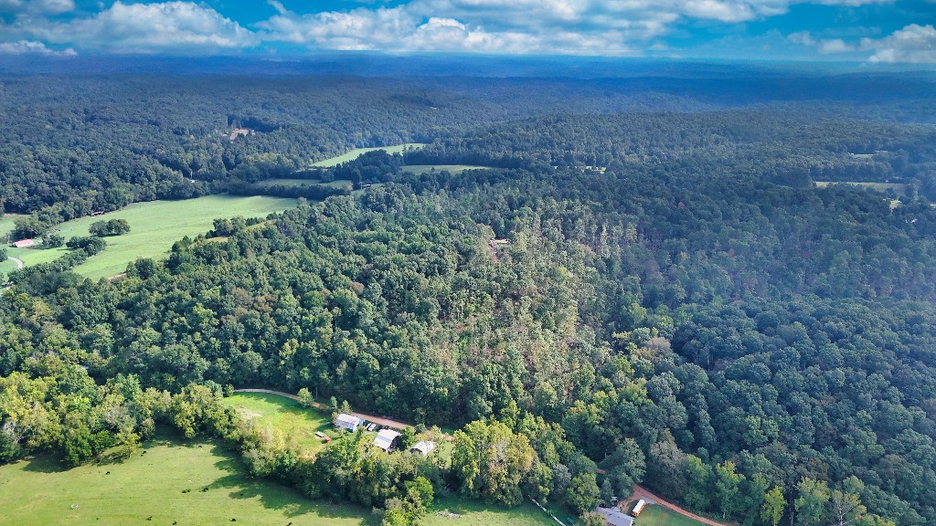 0 Baker Hollow Road Nunnelly, TN 37137 - Photo 1 of 15 Gallery Image 1