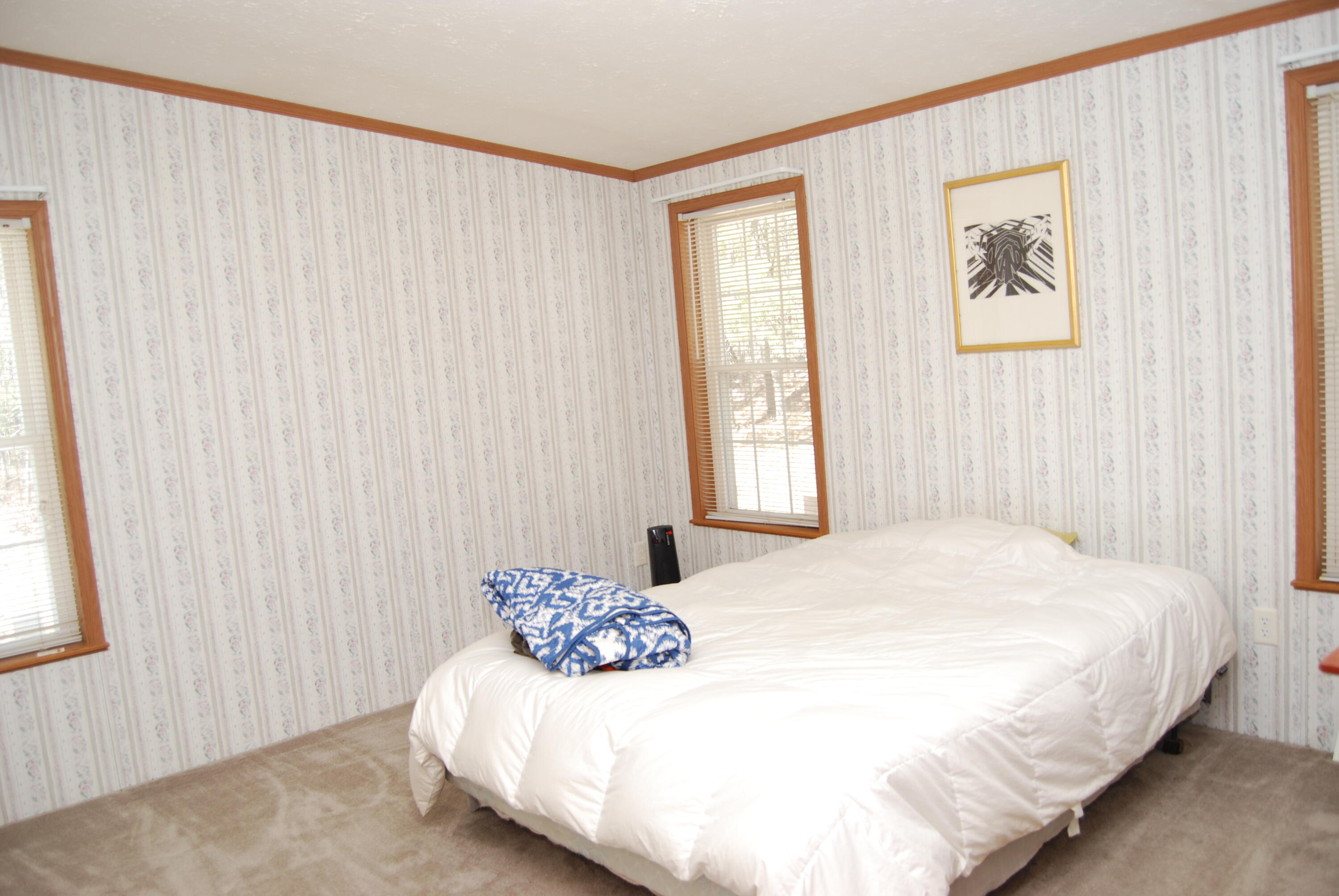 N11490 Nelson Road Athelstane, WI 54177 - Photo 15 of 39 Master Bedroom