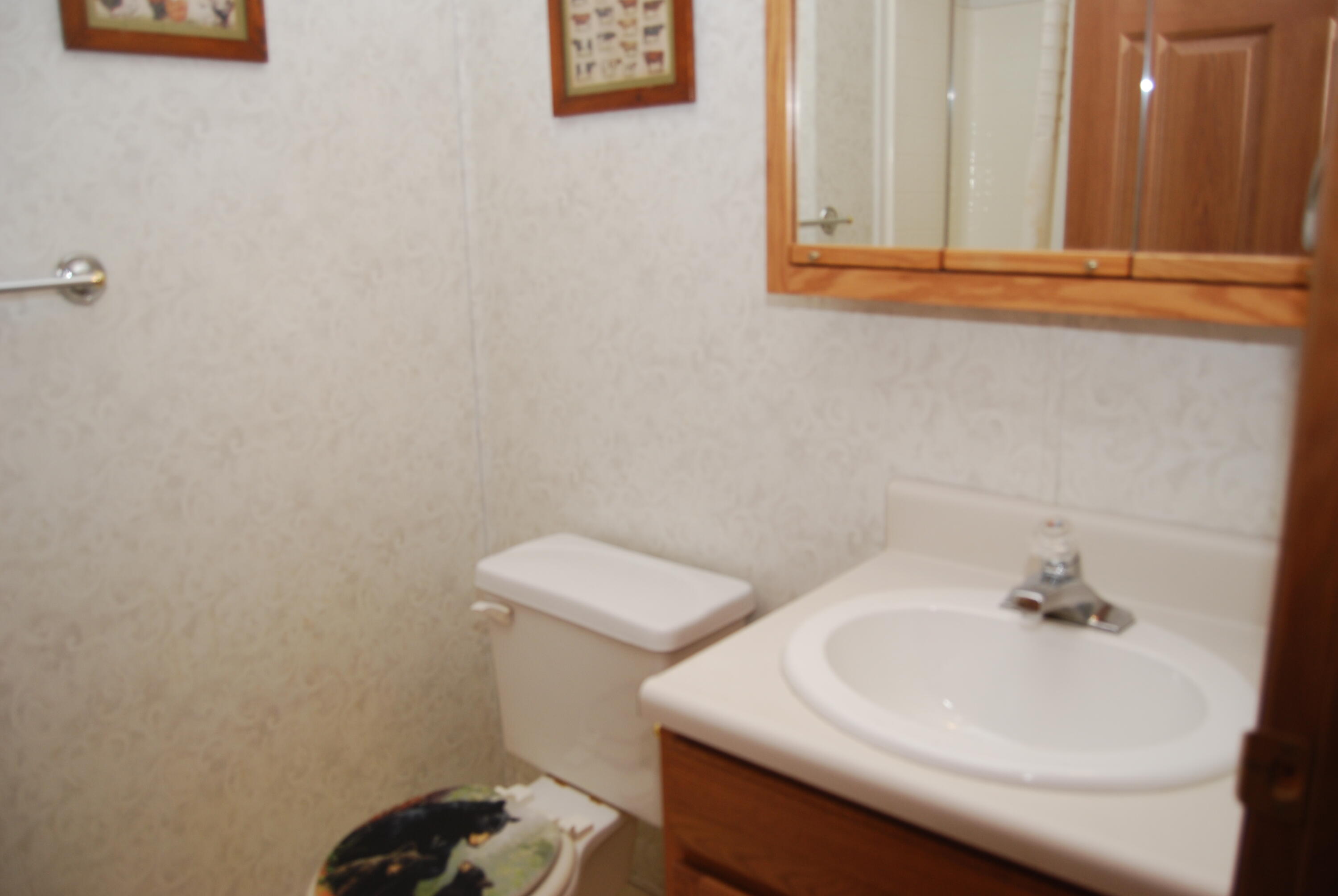 N11490 Nelson Road Athelstane, WI 54177 - Photo 22 of 39 Full bath